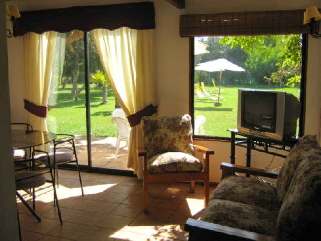 Living del departamento con ventanal al jardín